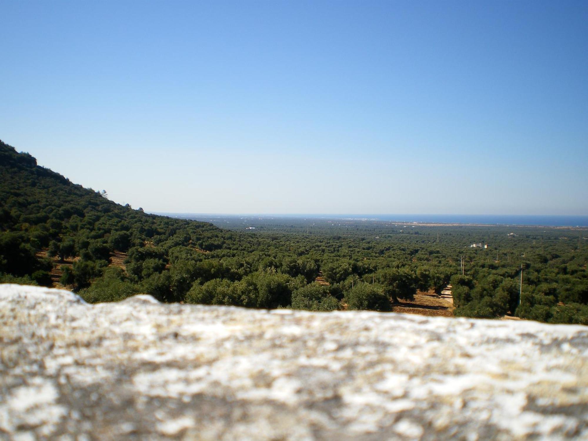 Masseria Morrone Остуні Екстер'єр фото
