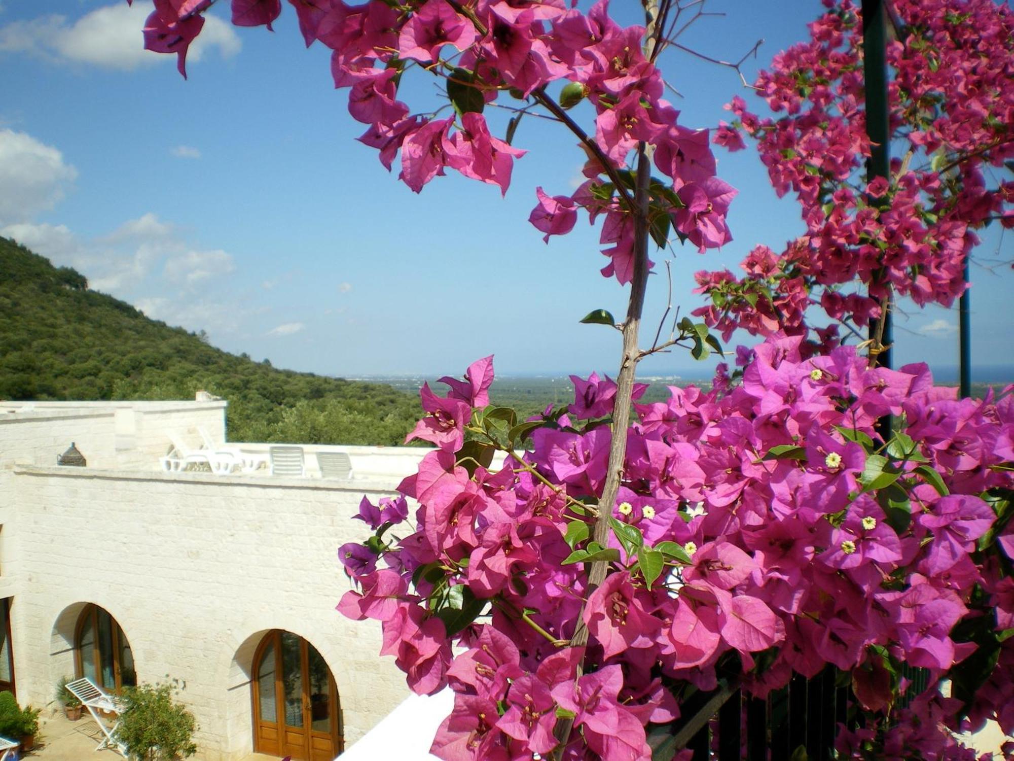 Masseria Morrone Остуні Екстер'єр фото