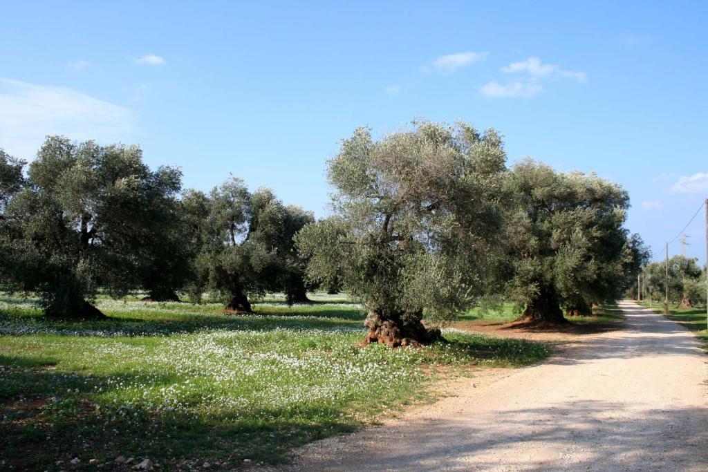 Masseria Morrone Остуні Номер фото